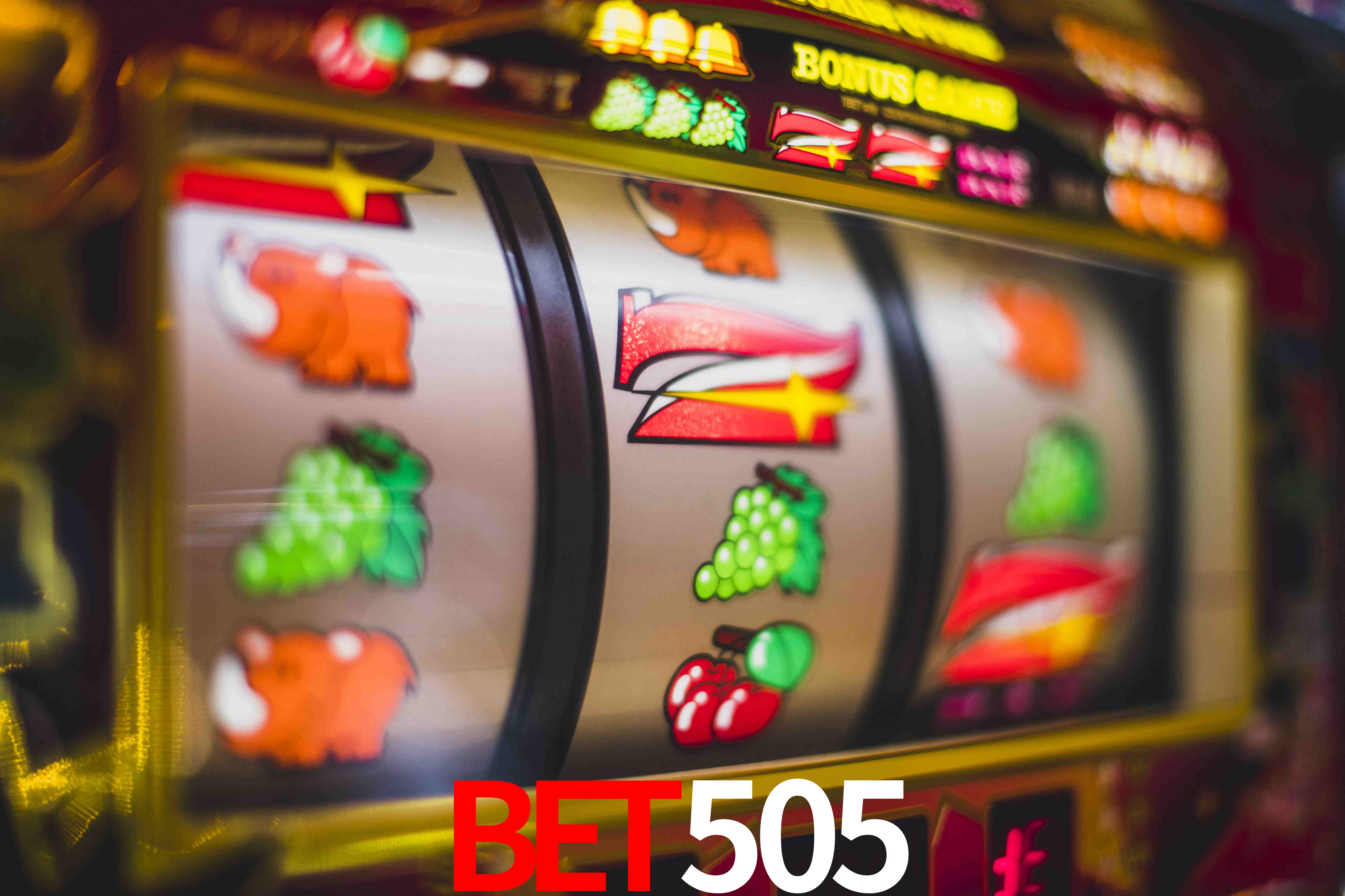 Sports Statistics bet505